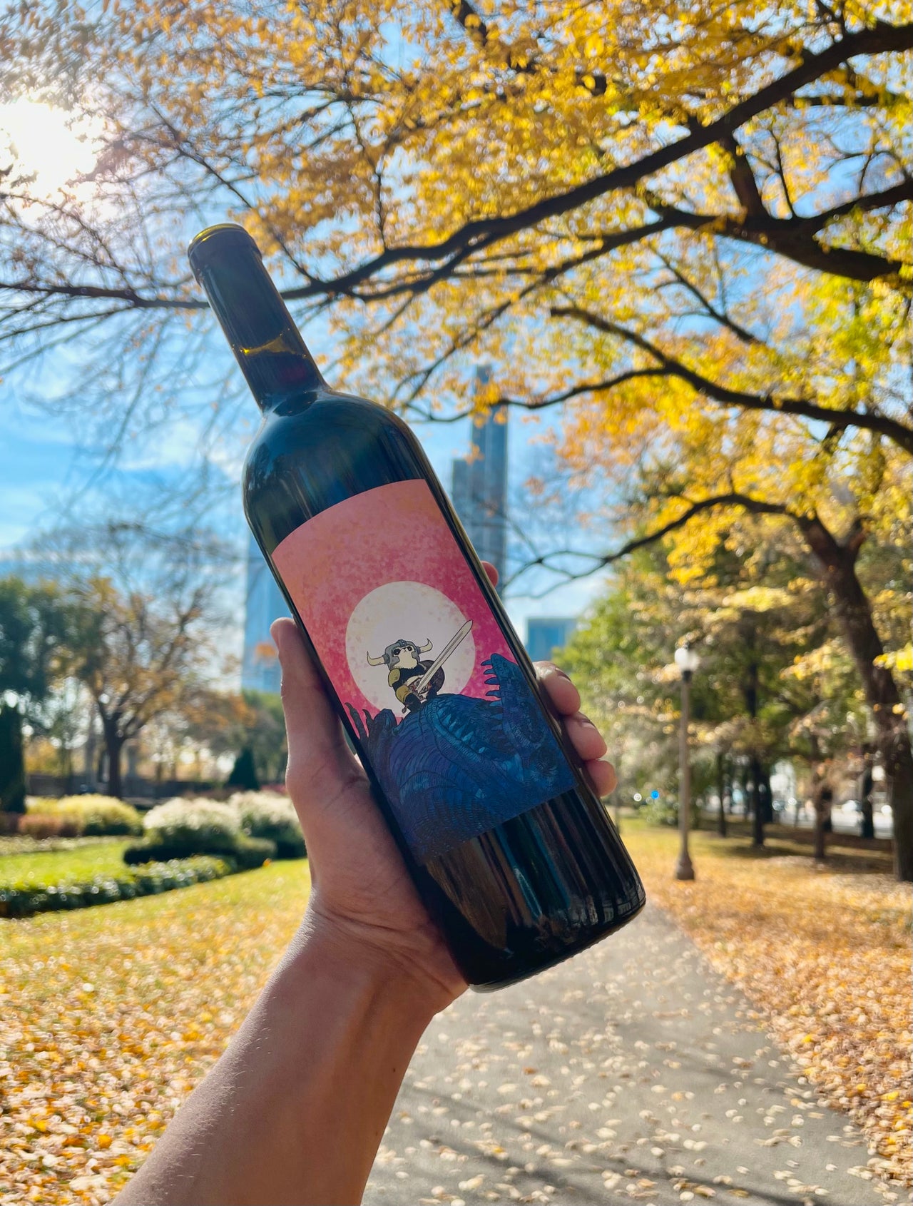 Online Natural Wine Shop Chicago Printers Row Wine Online