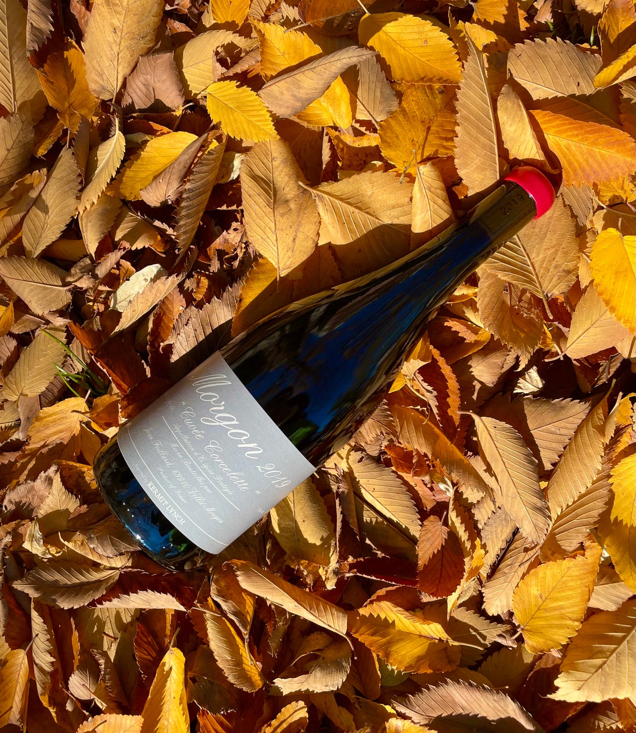 Online Natural Wine Shop Chicago Printers Row Wine Online