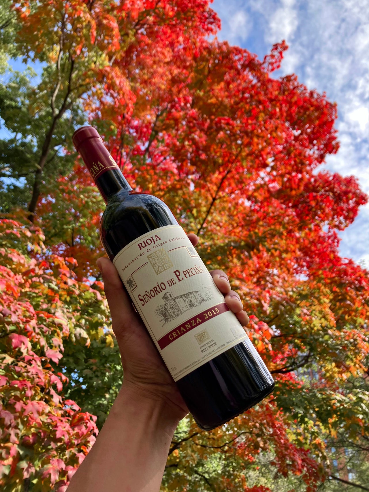 Online Natural Wine Shop Chicago Printers Row Wine Online