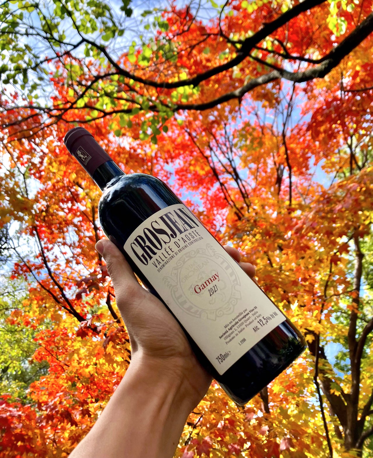 Online Natural Wine Shop Chicago Printers Row Wine Online