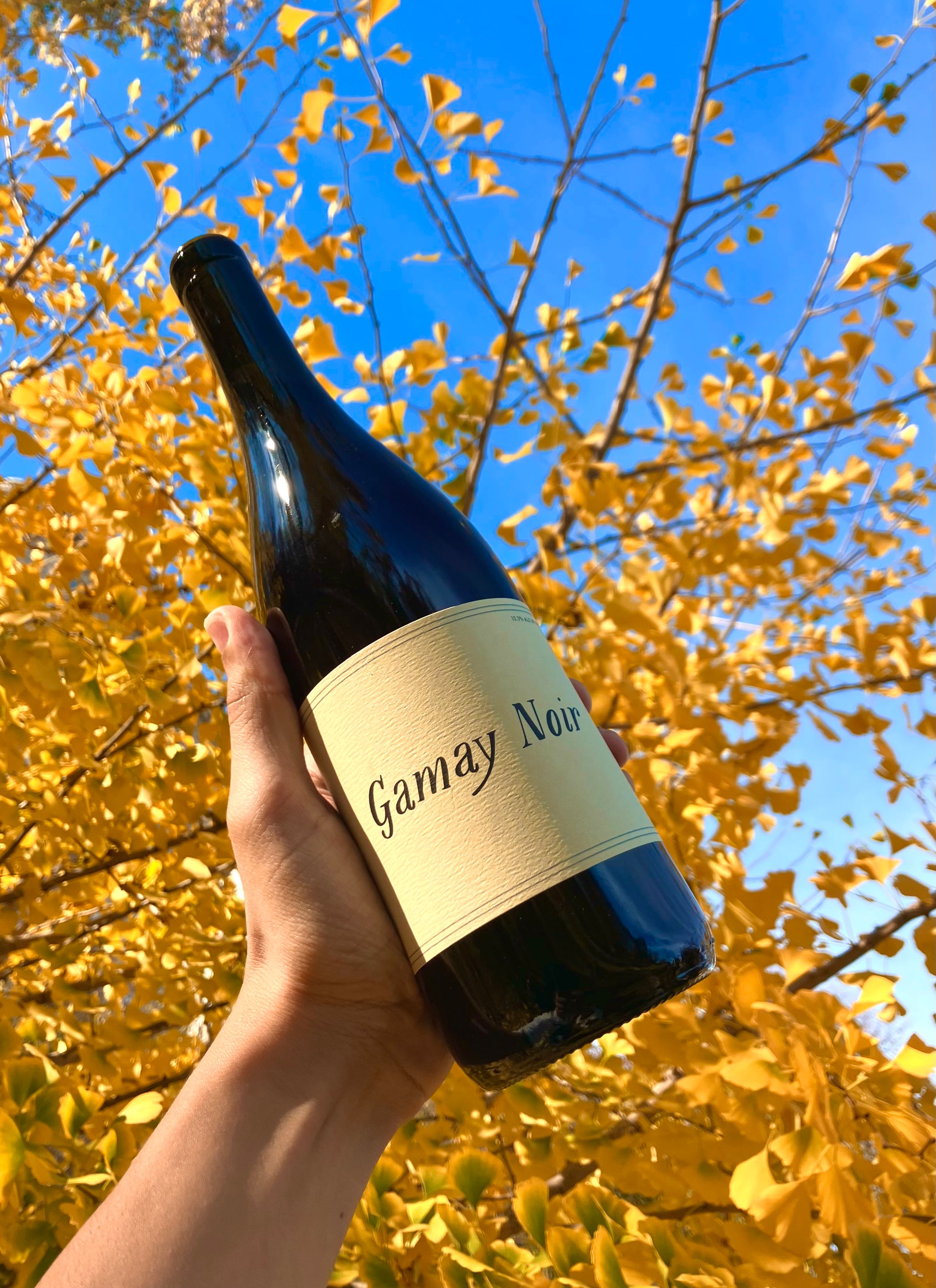 Online Natural Wine Shop Chicago Printers Row Wine Online