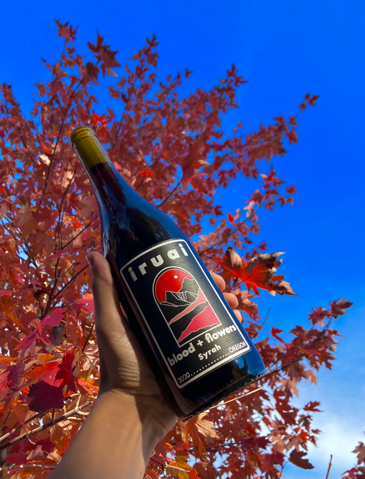 Online Natural Wine Shop Chicago Printers Row Wine Online