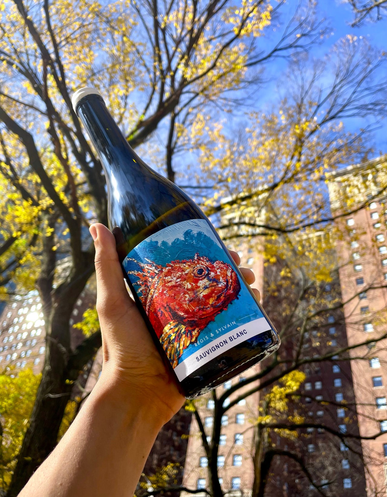 Online Natural Wine Shop Chicago Printers Row Wine Online